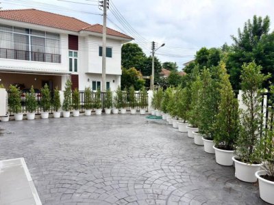 บ้านเช่าโครงการล้านนาเฮอริเทจ เพียง 20,000 บาท/เดือน! บ้านกว้าง ฟังก์ชันครบ มีพื้นที่รอบบ้าน - รูปที่ 2
