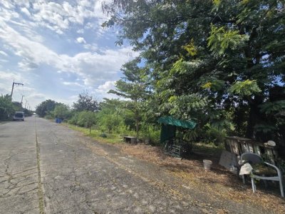 2354 ขาย ที่ดิน ที่ดินเปล่า คลอง 5 ปทุมธานี 2 ไร่ 841 ตร.วา ชั้นที่ 1 ชั้นทั้งหมด 1 ชั้น - รูปที่ 4