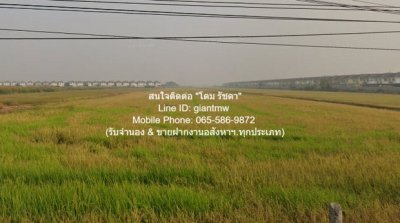 DSL-026 ให้เช่า ที่ดิน ให้เช่าระยะยาวที่ดินแปลงใหญ่ 38-2-94 ไร่ ติดถนนพหลโยธิน-ลำลูกกา (คลอง 7) ราคา 580,000 บาท/เดือน 580000 บาทต่อเดือน - รูปที่ 3