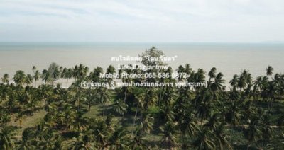 DSL-007 ให้เช่า ที่ดิน ให้เช่าระยะยาวที่ดินแปลงใหญ่ 100 ไร่ ติดทะเลบางสะพาน (ตรงข้ามเกาะทะลุ) ราคา 1,500,000 บาท/เดือน ประจวบคีรีขันธ์ - รูปที่ 5