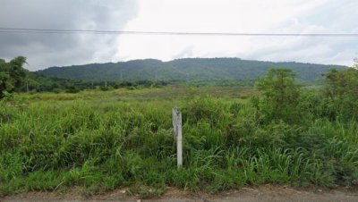 ขายด่วน! ที่ดินทำเลทอง ติดถนนใหญ่ โซนบ้านบึง–คลองกิ่ว ชลบุรี มีหลายแปลง - รูปที่ 7