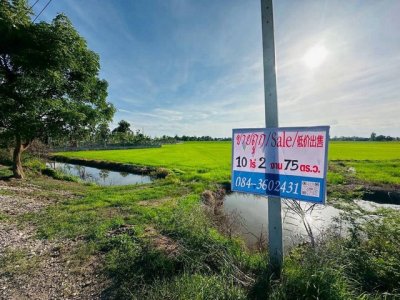 แบ่งขายที่ดิน อยุธยา บางไทร บ้านกลึง  ( เหลือ 1 แปลง) - รูปที่ 4