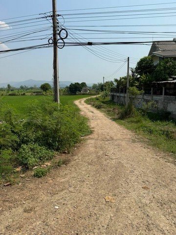 ขายที่ดินติดถนนใหญ่ เส้นเขื่อนแม่งัด อำเภอแม่แตง จังหวัดเชียงใหม่ เนื้อที่ 3 ไร่ 94 ตารางวา - รูปที่ 4