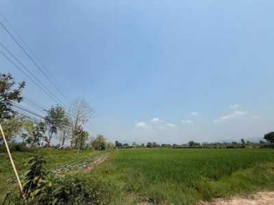 ขายที่ดินติดถนนใหญ่ เส้นเขื่อนแม่งัด อำเภอแม่แตง จังหวัดเชียงใหม่ เนื้อที่ 3 ไร่ 94 ตารางวา - รูปที่ 7