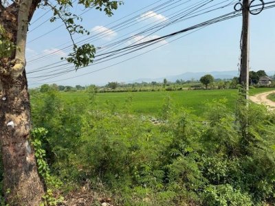 ขายที่ดินติดถนนใหญ่ เส้นเขื่อนแม่งัด อำเภอแม่แตง จังหวัดเชียงใหม่ เนื้อที่ 3 ไร่ 94 ตารางวา - รูปที่ 5