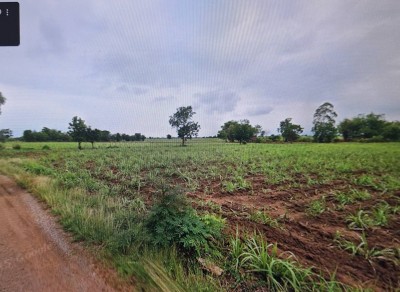 ขายที่ดิน 30-1-3.0 ไร่ ติดทางสาธารณะ อ.ด่านขุนทด จ.นครราชสีมา