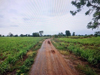 ขายที่ดิน 30-1-3.0 ไร่ ติดทางสาธารณะ อ.ด่านขุนทด จ.นครราชสีมา - รูปที่ 6