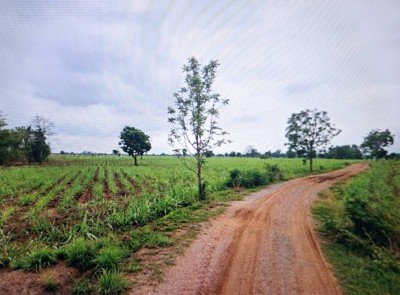 ขายที่ดิน 30-1-3.0 ไร่ ติดทางสาธารณะ อ.ด่านขุนทด จ.นครราชสีมา - รูปที่ 3