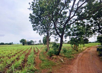 ขายที่ดิน 30-1-3.0 ไร่ ติดทางสาธารณะ อ.ด่านขุนทด จ.นครราชสีมา - รูปที่ 7