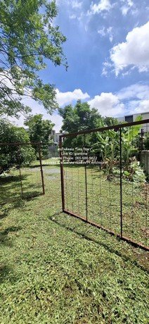 DSL-722 ขาย ที่ดิน ขายที่ดินเปล่า 1-0-85 ไร่ (485 ตร.ว.) ใกล้ถนนประเสริฐมนูกิจ (ถนนเกษตร-นวมินทร์) ราคา 72,750,000 บาท (150,000 บาท/ตร.ว.) - รูปที่ 5