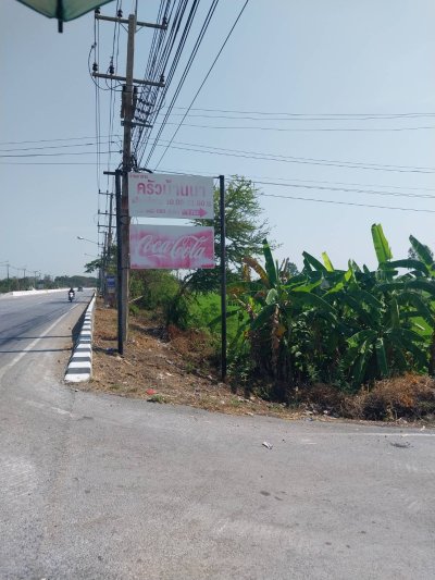 ขายที่ดินทำเลสวยติดถนนพหลโยธิน อำเภอเมือง จังหวัดชัยนาท เนื้อที่ 38 ไร่ 1 งาน 48 ตารางวา - รูปที่ 4