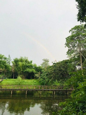 ขายที่ดินราคาดี ทำเลศักยภาพ บางพระ ศรีราชา ใกล้มอเตอร์เวย์ FP-L02563 - รูปที่ 3