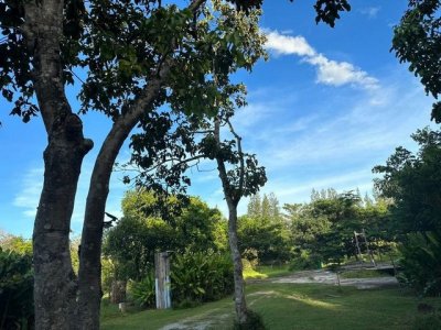 ขายที่ดินราคาดี ทำเลศักยภาพ บางพระ ศรีราชา ใกล้มอเตอร์เวย์ FP-L02563 - รูปที่ 4