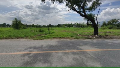 ขายที่ดินบ้านแหวน หางดง 345 ตร.ว. ใกล้โรงเรียนนานาชาติลานนา โซนน้ำไม่ท่วม - รูปที่ 8