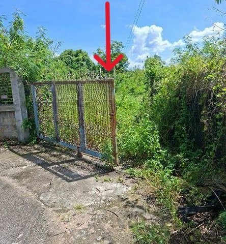 ขายที่ดินเปล่า 252ตรว. 1.26ลบ. ถนน น้ำ ไฟฟ้า  ใกล้ 4แยกไฟแดง รพ.สันป่าตอง หลัง รร. ทุ่งฟ้าบด หมู่5 ต.มะขามหลวง อ.สันป่าตอง เชียงใหม่