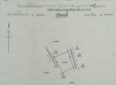 ขายที่ดินสวนลำไย 118.7ตรว. 826,000บ. ฟรีโอน ถมดินแล้ว น้ำประปา ไฟฟ้า ถนนคอนกรีต ใกล้บ้านถวาย ต.ขุนคง อ.หางดง เชียงใหม่ - รูปที่ 4