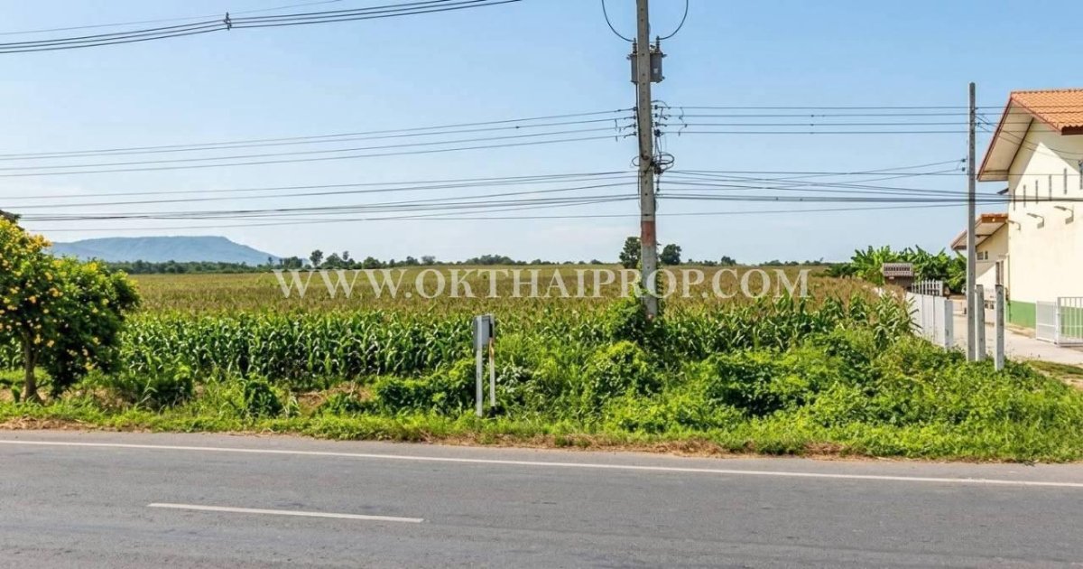 ที่ดินติดถนนทางหลวง3017 ใกล้เขื่อนป่าสักชลสิทธิ์ อ.พัฒนานิคม จ.ลพบุรี