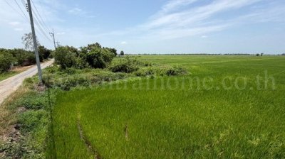 ที่ดิน 4-2-63 ไร่ เข้าออกได้หลายทาง  ต.บางซ้าย พระนครศรีอยุธยา - รูปที่ 4