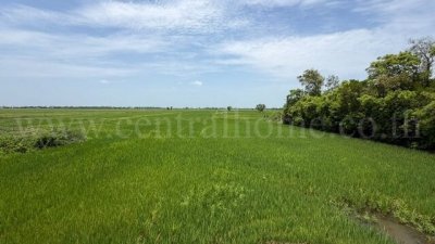 ที่ดิน 4-2-63 ไร่ เข้าออกได้หลายทาง  ต.บางซ้าย พระนครศรีอยุธยา - รูปที่ 2