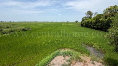 ที่ดิน 4-2-63 ไร่ เข้าออกได้หลายทาง  ต.บางซ้าย พระนครศรีอยุธยา - รูปที่ 6