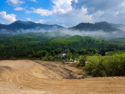 ที่ดินทุ่งคาโงก ใกล้บางแก้ว อีเลเฟ่น แคมป์ เจ้าของขายเอง - รูปที่ 6