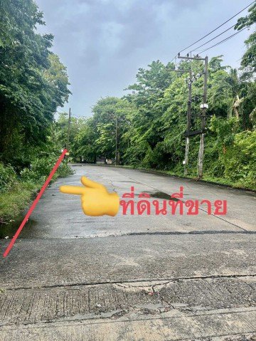 ขาย พร้อมขาย หมู่บ้านเลคการ์เด้นรังสิต    ตำบลบึงยี่โถ ธัญบุรี,ปทุมธานี - รูปที่ 5