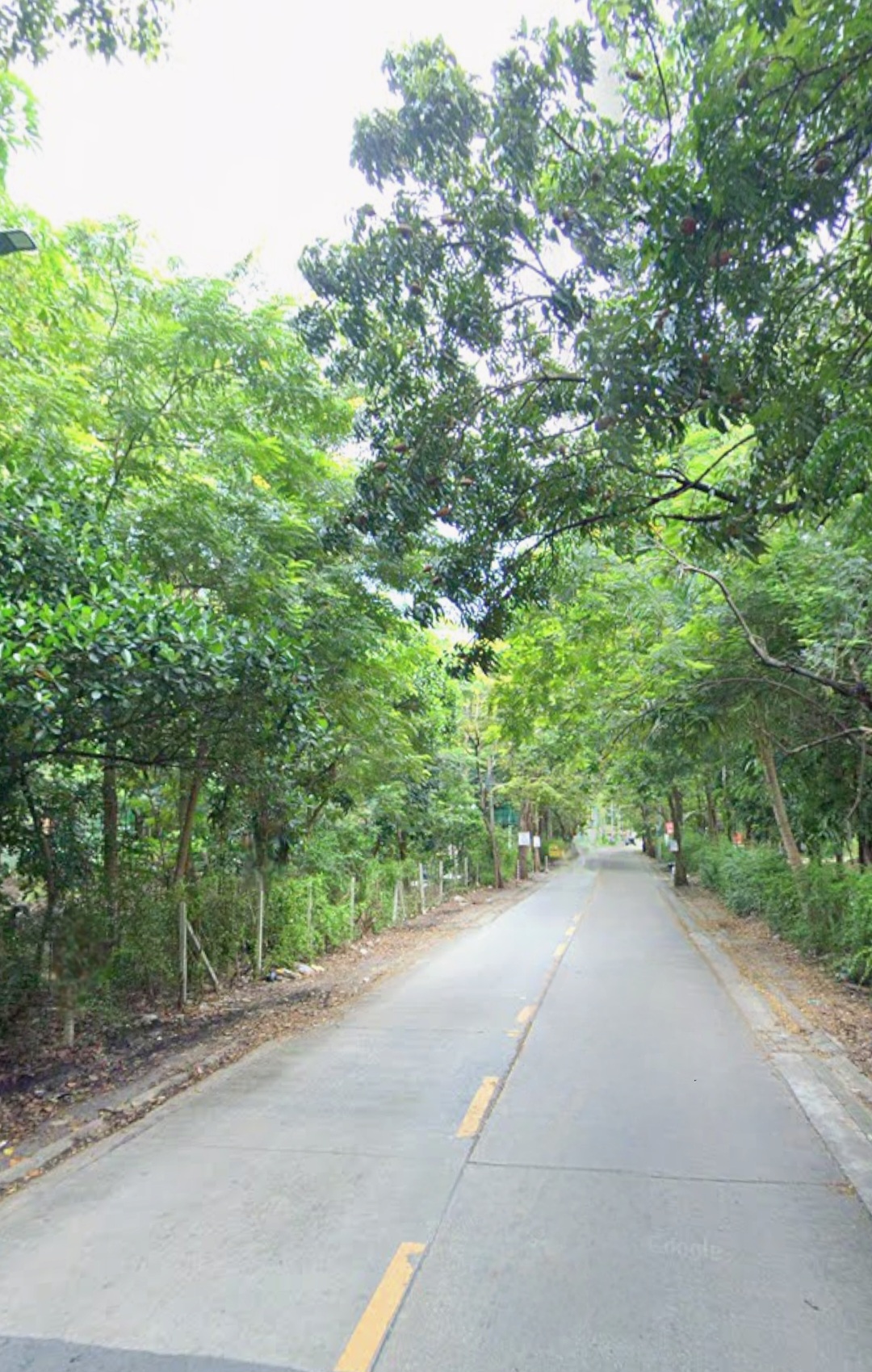 ขายที่ดิน 13ไร่ ติดถนนซอยนวลจันทร์ ใกล้ถนนเลียบทางด่วนเอกมัยรามอินทรา เข้าออกได้หลายทาง ทำเลดี