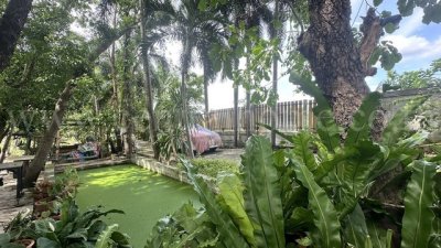 ลดราคา ที่ดิน 2 ไร่ พร้อมสิ่งปลูกสร้าง สไตล์คาเฟ่ ไทรน้อย - นนทบุรี ขุนศรี ทำเลดี - รูปที่ 7