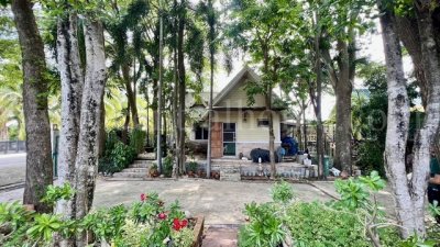 ลดราคา ที่ดิน 2 ไร่ พร้อมสิ่งปลูกสร้าง สไตล์คาเฟ่ ไทรน้อย - นนทบุรี ขุนศรี ทำเลดี - รูปที่ 3