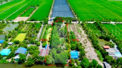 ลดราคา ที่ดิน 2 ไร่ พร้อมสิ่งปลูกสร้าง สไตล์คาเฟ่ ไทรน้อย - นนทบุรี ขุนศรี ทำเลดี - รูปที่ 2