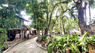 ลดราคา ที่ดิน 2 ไร่ พร้อมสิ่งปลูกสร้าง สไตล์คาเฟ่ ไทรน้อย - นนทบุรี ขุนศรี ทำเลดี - รูปที่ 5
