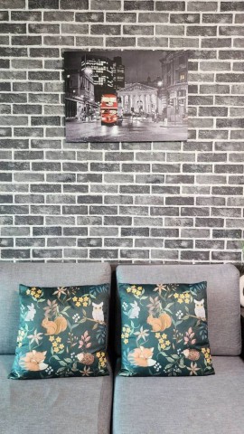 ให้เช่าเริ่มต้น 10,000 บาท/เดือน 30 ตร.ม. #DcondoPing #วิวสระว่ายน้ำ #เฟอร์นิเจอร์ครบ พร้อมเข้าอยู่ #ใกล้เซ็นทรัลเฟสติวัล (ว่าง 19 ส.ค. 69)