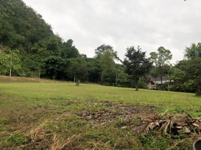 ขายที่ดิน 470 ตร.ว. ในสนามกอล์ฟเซอร์เจมส์คันทรีคลับ Forest Hill มวกเหล็ก สระบุรี - รูปที่ 5