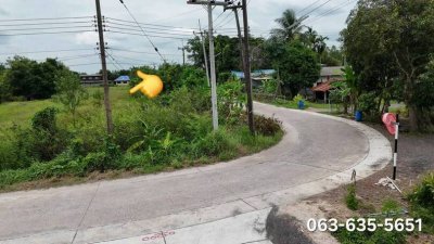 ขายที่ดินทำเลสวย ติดถนนคอนกรีต 2 ด้าน ทำเลค้าขาย ตรงข้ามสวนอาสาคาเฟ่ ต.พรหมณี อ.เมืองนครนายก - รูปที่ 2