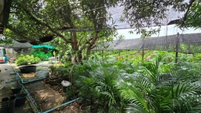 ที่ดินพร้อมสิ่งปลูกสร้าง 4 ไร่ 83 ตร.วา ติดถนน สามพราน นครปฐม - รูปที่ 5