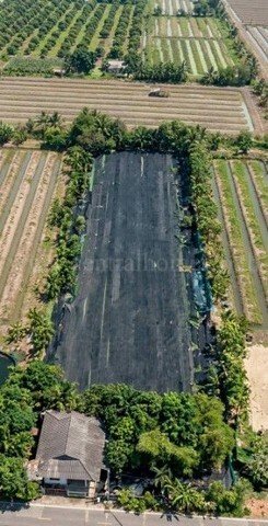 ที่ดินพร้อมสิ่งปลูกสร้าง 4 ไร่ 83 ตร.วา ติดถนน สามพราน นครปฐม - รูปที่ 8