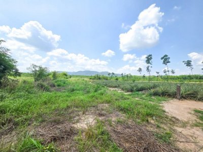 ขายที่เพียง 390,000 บาท/ไร่ ที่ดินเปล่า อำเภอบ้านค่าย - รูปที่ 8