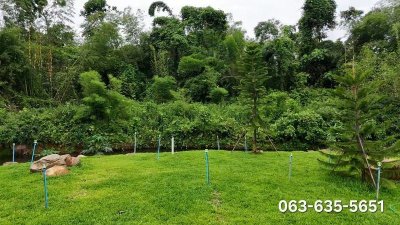 ขายที่สวยวิวเขา ต.นาหินลาด อ.ปากพลี จ.นครนายก ทำเลดี และฮวงจุ้ยโดดเด่น หน้าติดถนนลาดยาง ท้ายติดคลองยาวกว่า 100 เมตร - รูปที่ 5