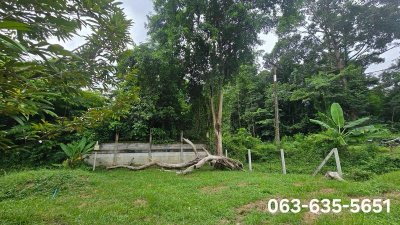 ขายสวนทุเรียนวิวเขา บรรยากาศดี หน้าติดถนนลาดยาง ท้ายติดลำธาร ที่ดินโฉนดครุฑแดง พร้อมโอน ต.เขาพระ อ.เมืองนครนายก จ.นครนายก - รูปที่ 3