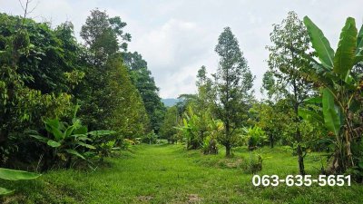 ขายสวนทุเรียนวิวเขา บรรยากาศดี หน้าติดถนนลาดยาง ท้ายติดลำธาร ที่ดินโฉนดครุฑแดง พร้อมโอน ต.เขาพระ อ.เมืองนครนายก จ.นครนายก - รูปที่ 7