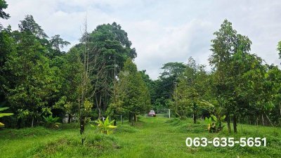 ขายสวนทุเรียนวิวเขา บรรยากาศดี หน้าติดถนนลาดยาง ท้ายติดลำธาร ที่ดินโฉนดครุฑแดง พร้อมโอน ต.เขาพระ อ.เมืองนครนายก จ.นครนายก - รูปที่ 5