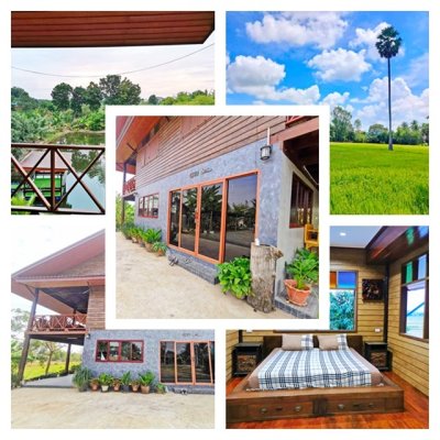 ที่ดิน 1 ไร่ ให้เช่าในสีคิ้ว บ้านไทย โคราช กลางวิวทุ่ง 300ตร.ม. ให้เช่า สไตล์Cafe 4นอน นครราชสิมา วัดนักบุญยอแซฟ  บ้านหัน 7-11  4น้ำ - รูปที่ 3