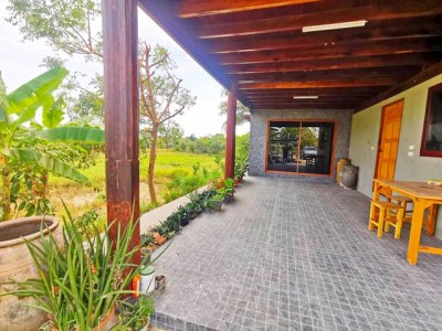 ที่ดิน 1 ไร่ ให้เช่าในสีคิ้ว บ้านไทย โคราช กลางวิวทุ่ง 300ตร.ม. ให้เช่า สไตล์Cafe 4นอน นครราชสิมา วัดนักบุญยอแซฟ  บ้านหัน 7-11  4น้ำ - รูปที่ 7