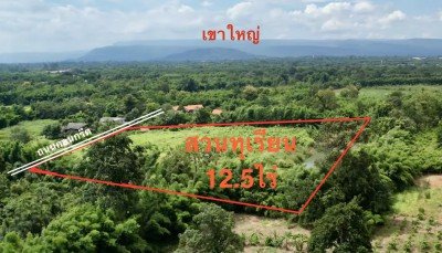 ขายสวนทุเรียน  12.5 ไร่  ตำบลโนนห้อม อำเภอเมือง จังหวัดปราจีนบุรี - รูปที่ 5