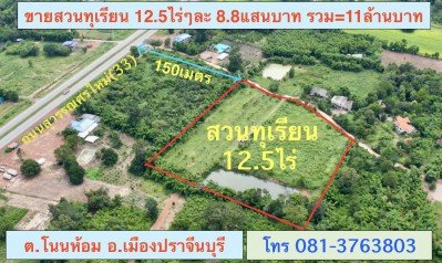 ขายสวนทุเรียน  12.5 ไร่  ตำบลโนนห้อม อำเภอเมือง จังหวัดปราจีนบุรี - รูปที่ 3