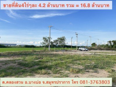 ขายที่ดินขนาด 4 ไร่ ใกล้สนามบินสุวรรณภูมิ  ตำบลคลองสวน อำเภอบางบ่อ จังหวัดสมุทรปราการ - รูปที่ 8