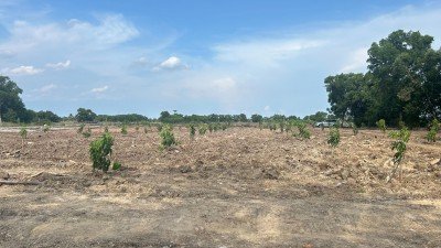 ขายที่ดินขนาด 4 ไร่ ใกล้สนามบินสุวรรณภูมิ  ตำบลคลองสวน อำเภอบางบ่อ จังหวัดสมุทรปราการ - รูปที่ 3