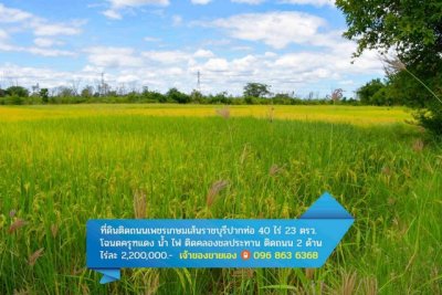 ขายที่ดินติดถนนเพชรเกษม อำเภอปากท่อ จังหวัดราชบุรี ขนาด 42 ไร่ 23 ตรว. - รูปที่ 6