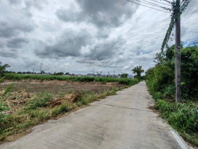 ขายที่ดินบ้านบึงชลบุรีราคาถูก ที่ดินชลบุรี เนื้อที่  3 งาน 58 ตารางวา หนองรี  บ้านบึงชลบุรี - รูปที่ 5