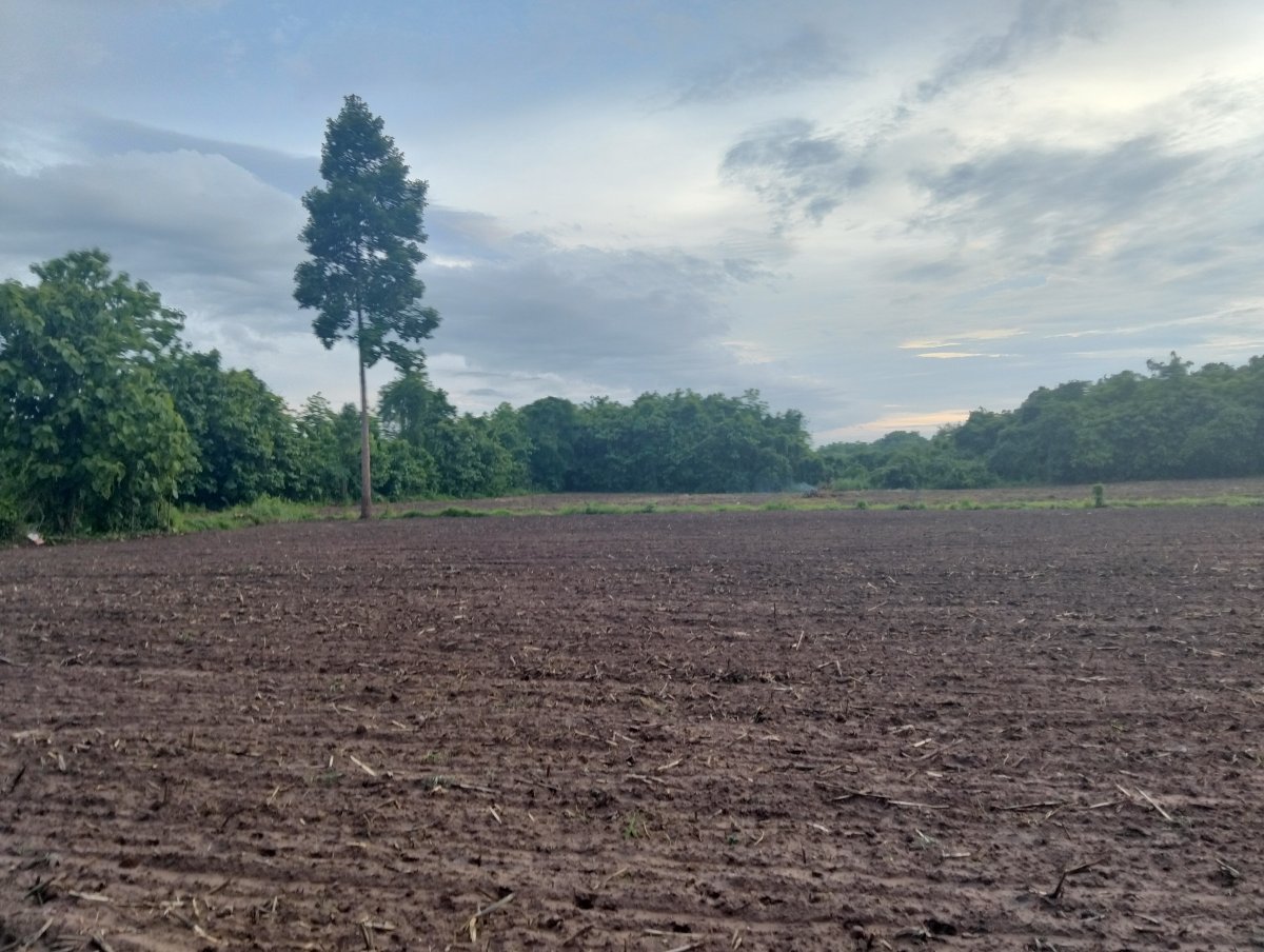 ขายที่ดินทำสวน สร้างบ้านพักตากอากาศ